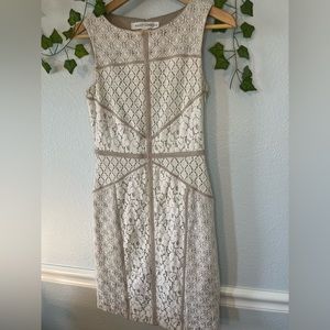Maggy London fitted Ivory Lace Dress with Beige Piping Shift